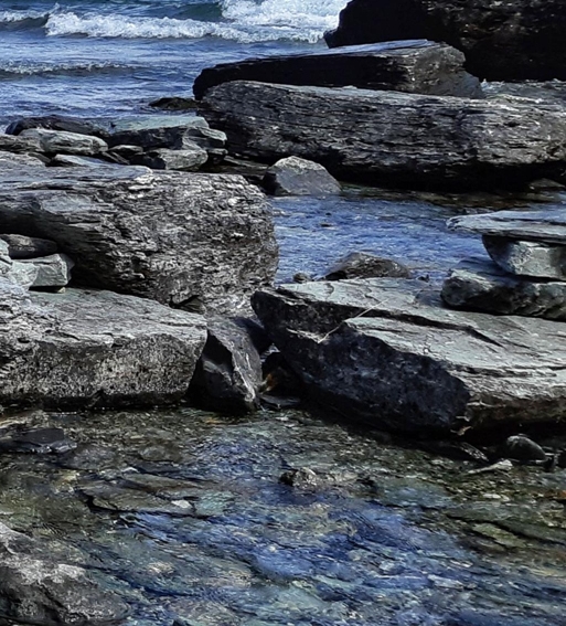 粉象生活是什么?