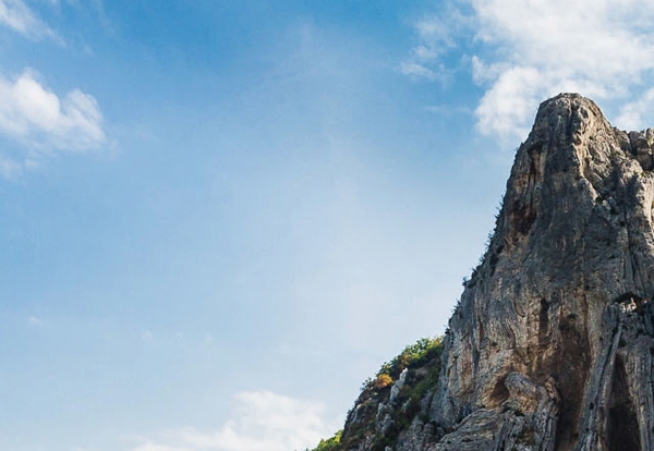 粉象生活赚钱教程