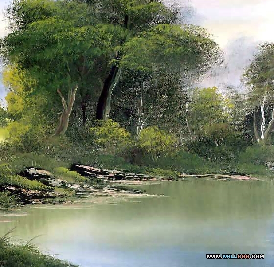 不是vip粉象可以提现吗