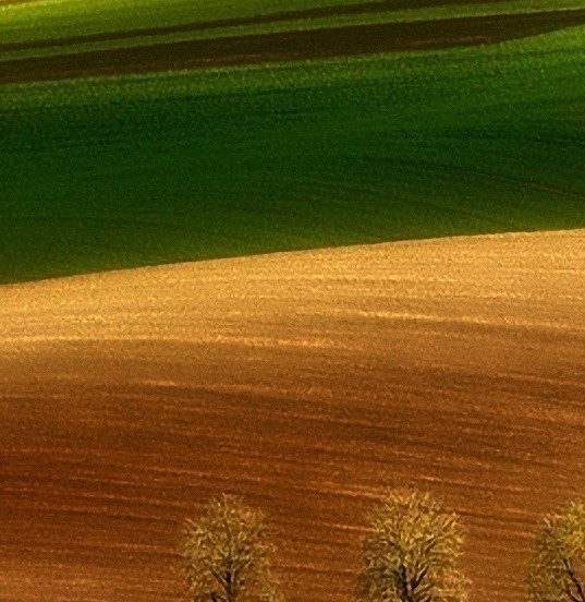 粉象生活邀请码