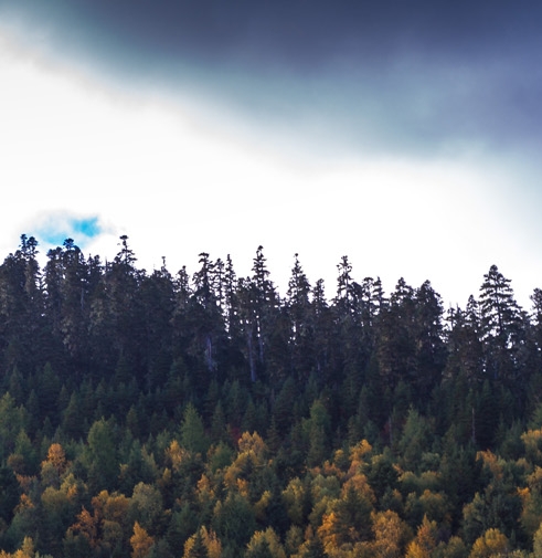 粉象生活app是干嘛的