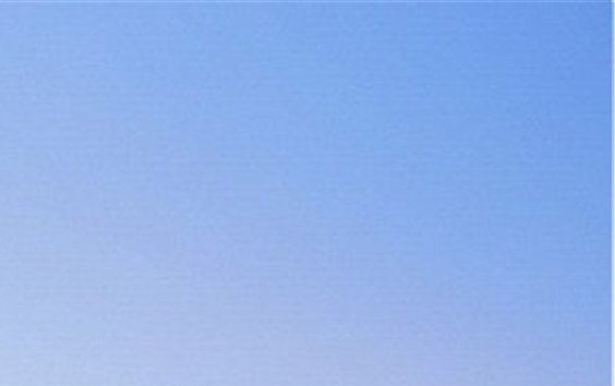 粉象生活团队主要成员