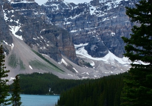 粉象生活合伙人
