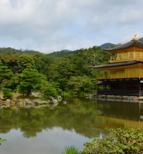 广东美的生活电器电话