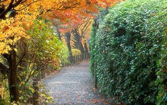 粉象生活邀请一个人有多少佣金