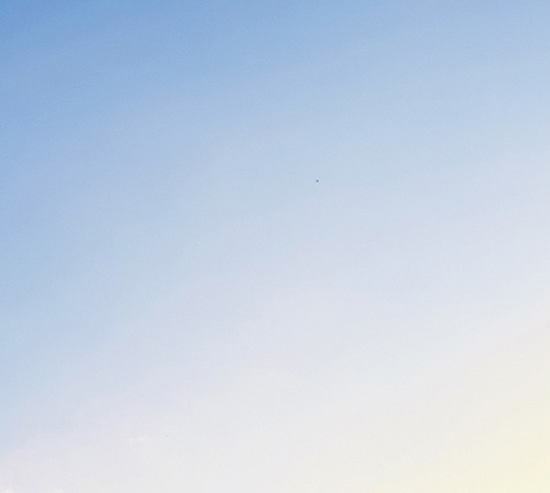 粉象生活推广人