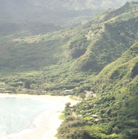 粉象生活最多能开多少钱