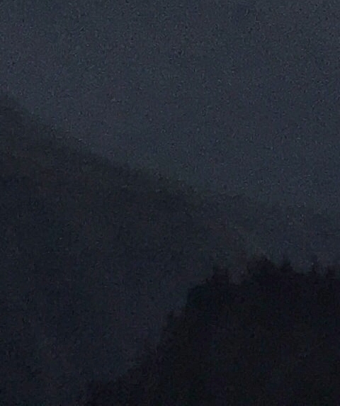 粉象生活有什么优惠券