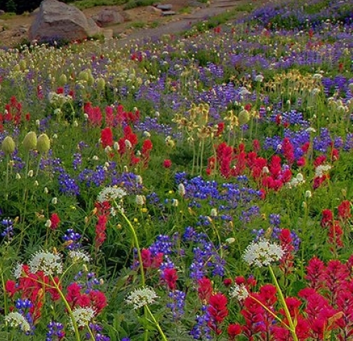 粉象生活邀请人怎么看