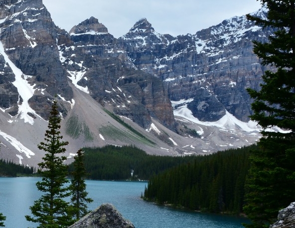 粉象生活怎么退出邀请码