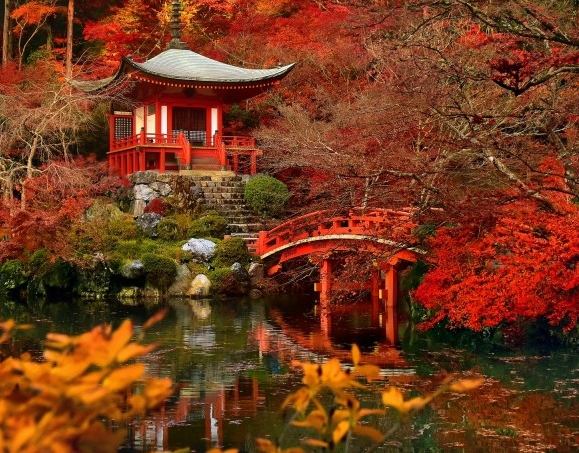 粉象生活的销售排行榜在哪