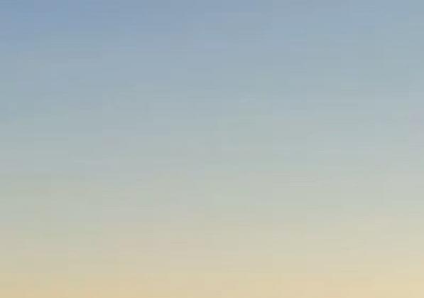 粉象生活打卡赚钱