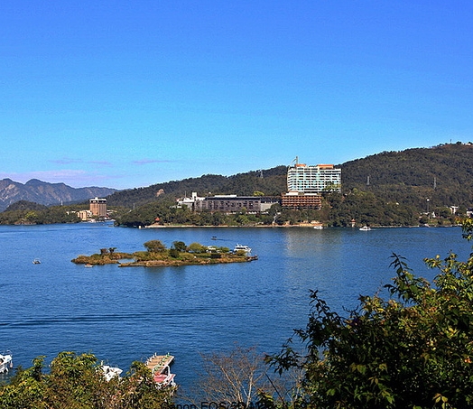粉象生活天一团队