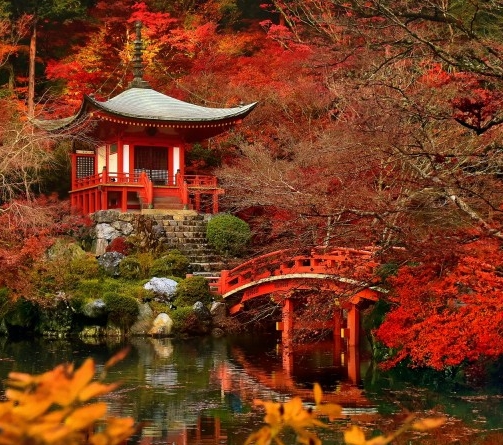 粉象生活邀请码哪里弄