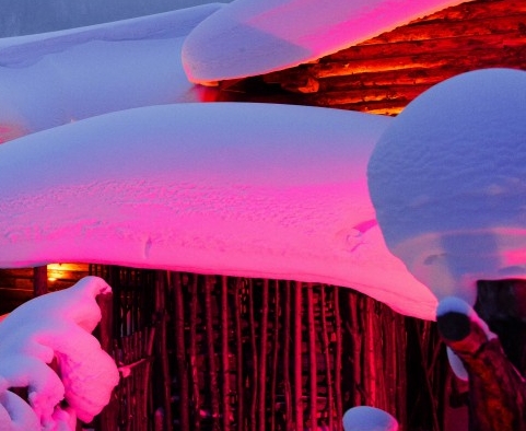 粉象生活看完视频四个字