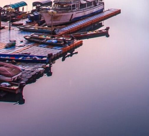 粉象生活佣金等级