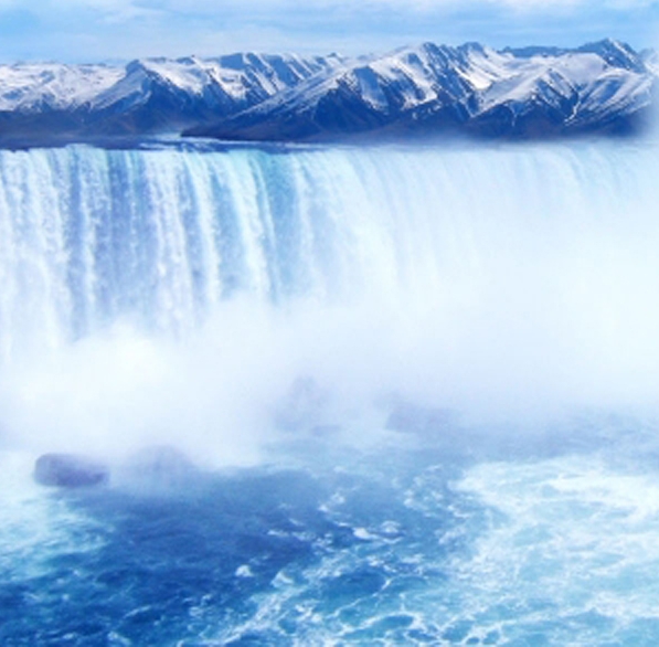 粉象生活电商如何