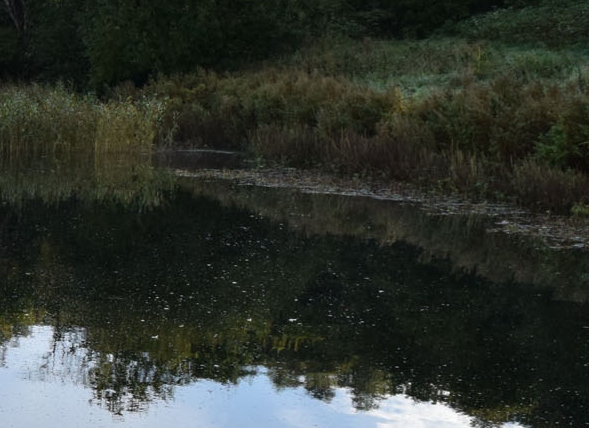 粉象生活的白金卡是真的吗