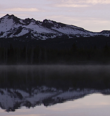 粉象生活涉及传销