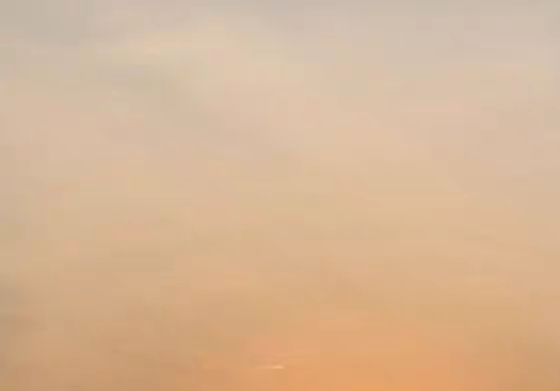 粉象生活邀请码