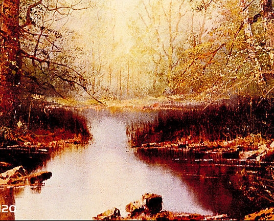 粉象生活赚钱是真的假的