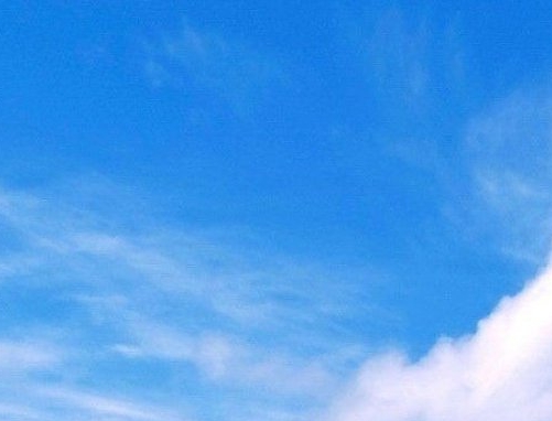 粉象生活能赚到钱吗