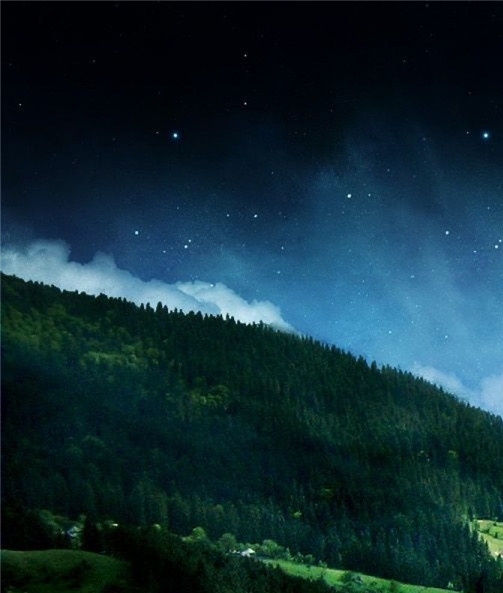 粉象生活官网加盟靠谱吗