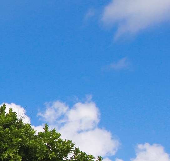 粉象生活可以赚钱吗