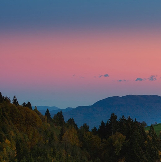 粉象生活粉丝怎么增加
