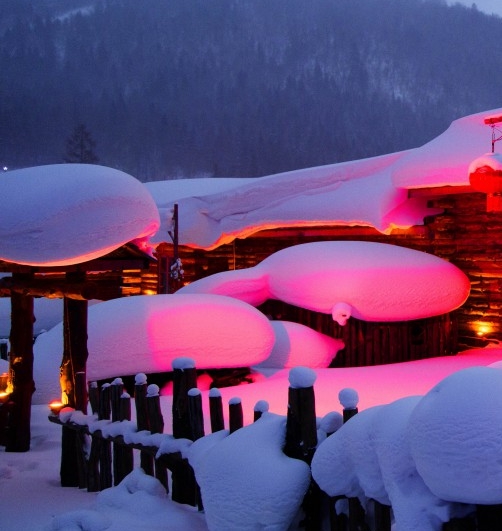 粉象生活收费吗