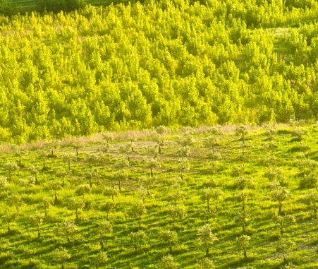粉象生活邀请注册
