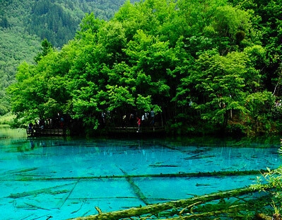 粉象生活下载app