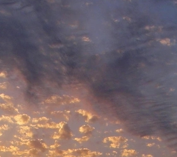 小森生活需要实名认证吗