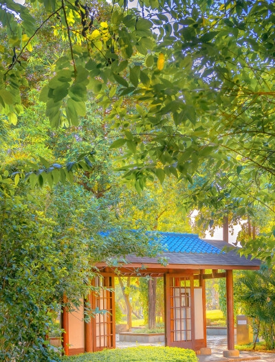 深圳粉象生活推广