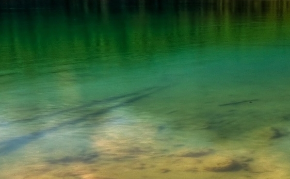 粉象生活缴费多少