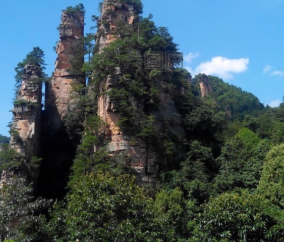 粉象生活有没有官网