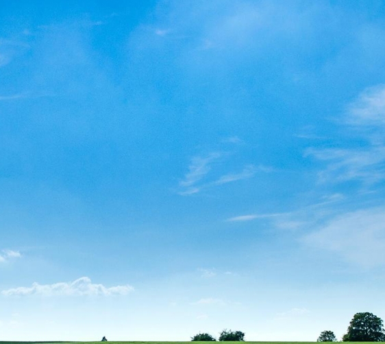 粉象生活399升级会员