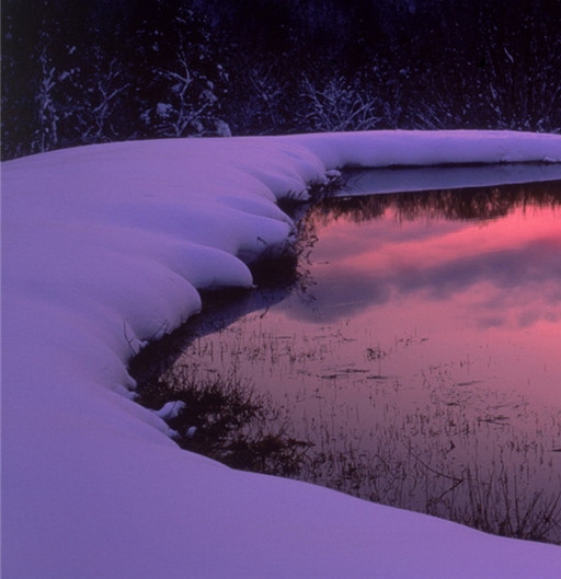 粉象生活加粉工具