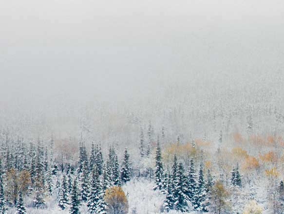 粉象生活粉丝怎么增加