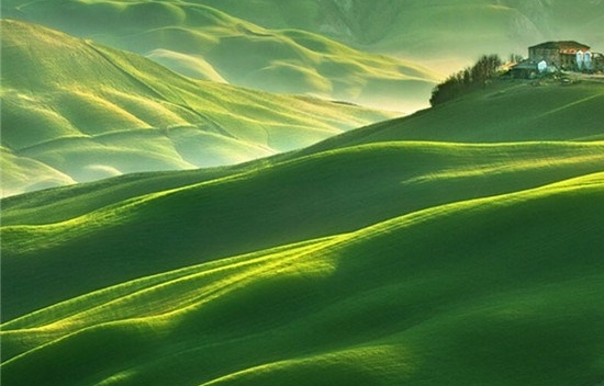 粉象生活卖货教程