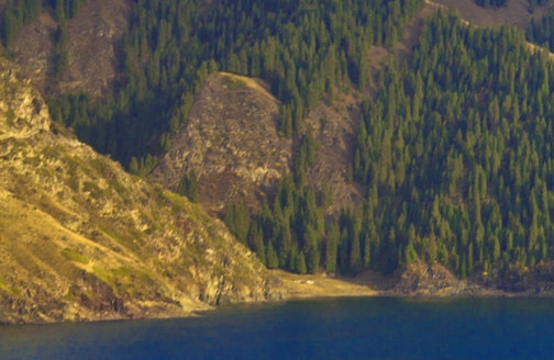 粉象生活真实收入