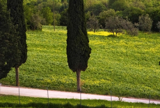粉象生活粉丝怎么增加