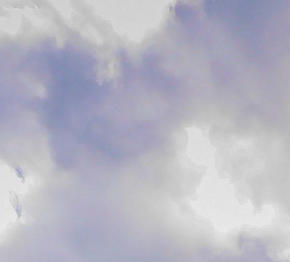 粉象生活粉丝怎么增加