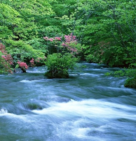 粉象生活怎么赚钱