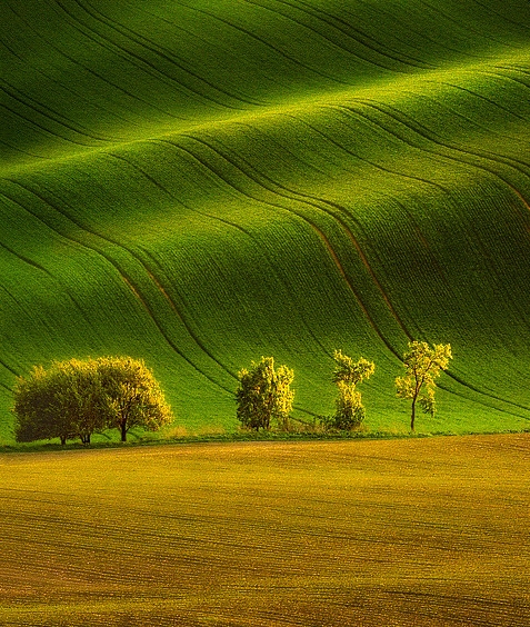 粉象生活有什么值得购买的