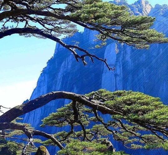 粉象生活技术团队方山