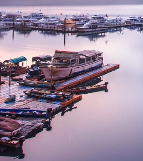 浙江创新粉象生活赚钱么