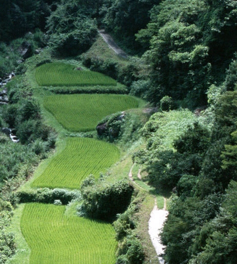 粉象生活粉丝积分是什么