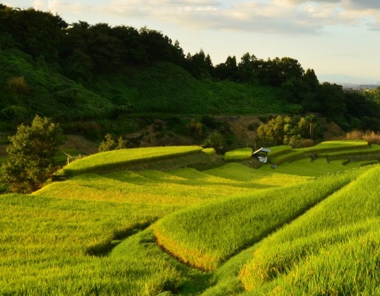 粉象生活可以赚钱吗