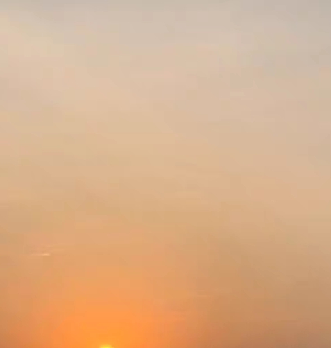 第一个字是象的成语有哪些